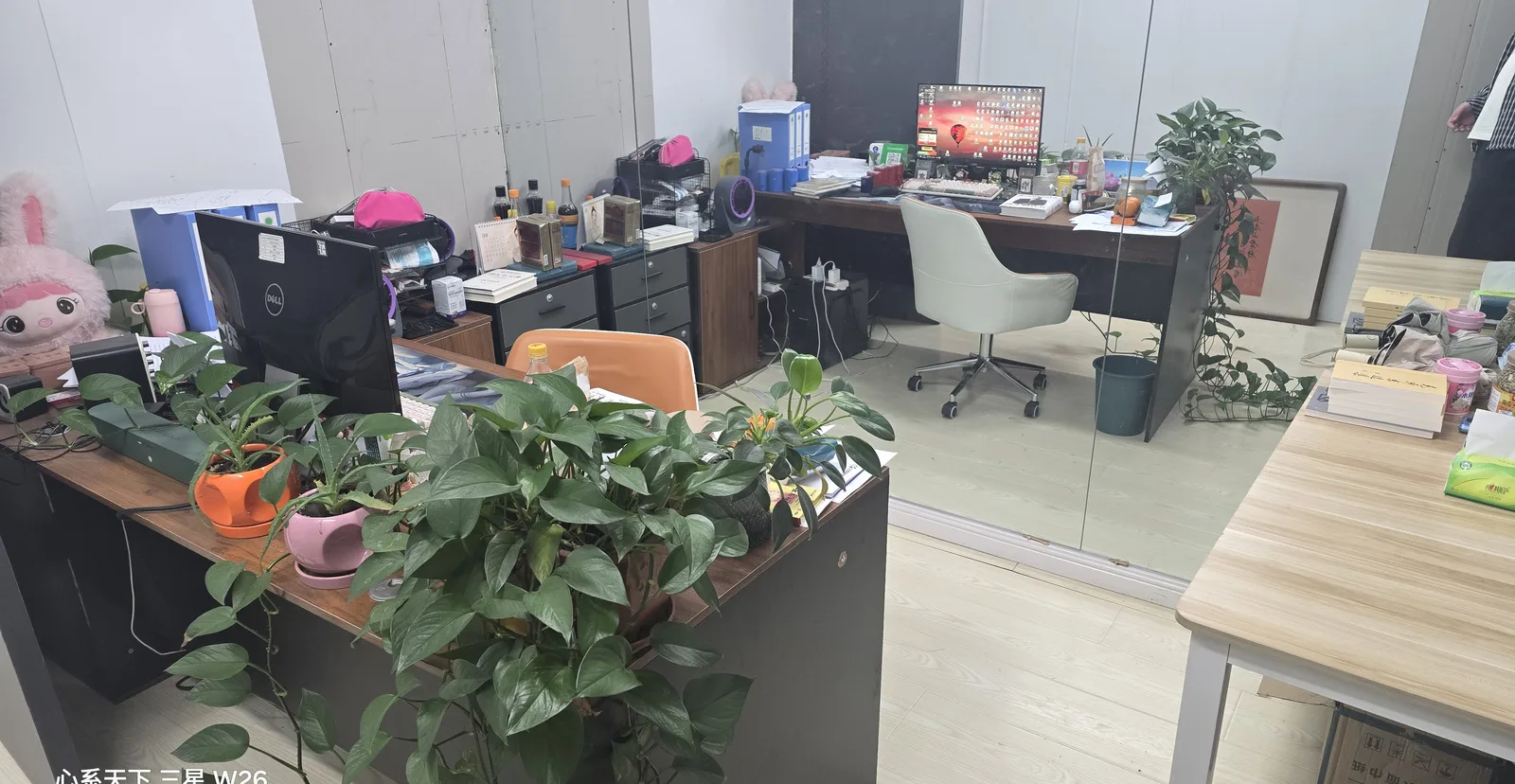 越创知产绿园区办公室实景，提供商标专利版权高企认定面对面咨询服务